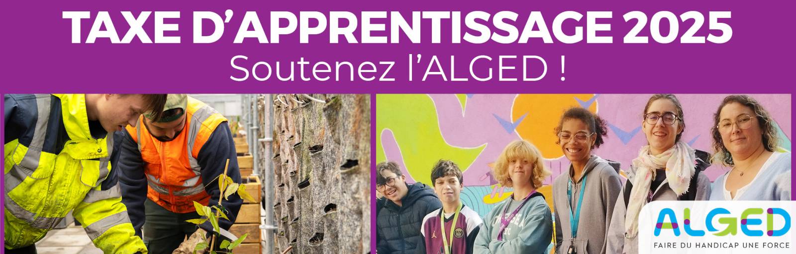 solde taxe apprentisssage ALGED